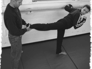 Modulo 3 Flexibilidad